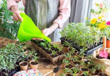 Кислоты для растений: как улучшить усвоение питания и ускорить рост