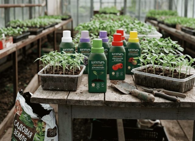 Органический концентрат «Богатырь Organic» – это результат новейших технологий переработки естественного природного сырья