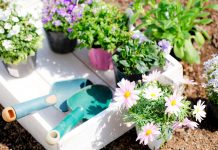 Лунный календарь садовода и огородника на май 2026 года