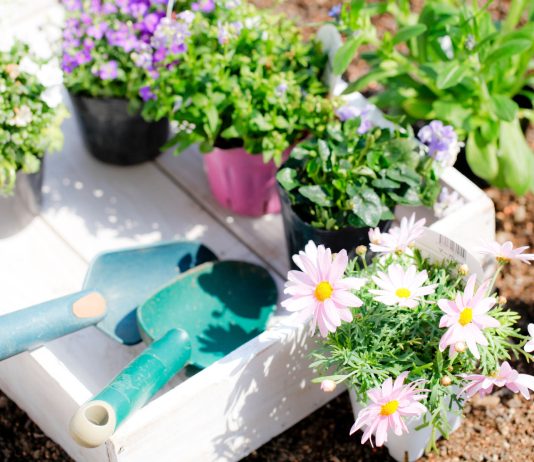 Лунный календарь садовода и огородника на май 2026 года