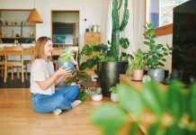 Микроэкология уюта: как чистота земли в цветочном горшке меняет атмосферу всего дома