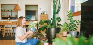 Микроэкология уюта: как чистота земли в цветочном горшке меняет атмосферу всего дома