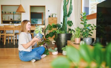 Микроэкология уюта: как чистота земли в цветочном горшке меняет атмосферу всего дома Микроэкология уюта: как чистота земли в цветочном горшке меняет атмосферу всего дома