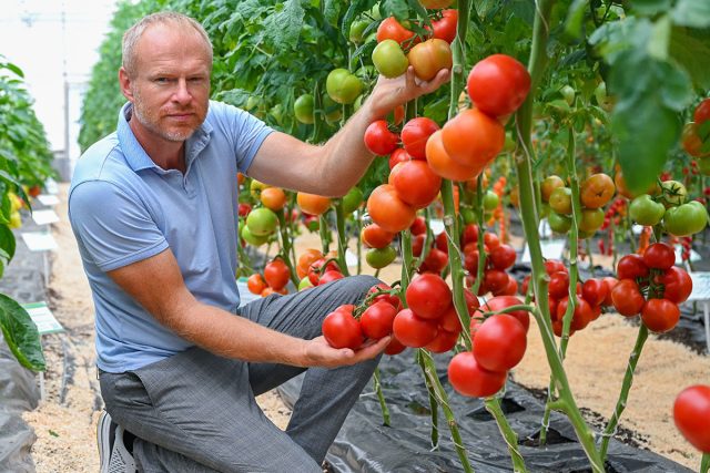 Обзор продуктивных сортов и гибридов овощей для нового сезона