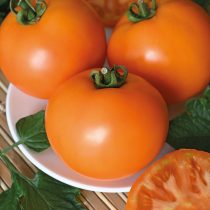 Томат Оранжевый шар F1 Томат Оранжевый шар F1