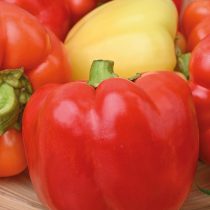 Перец сладкий Валентина F1