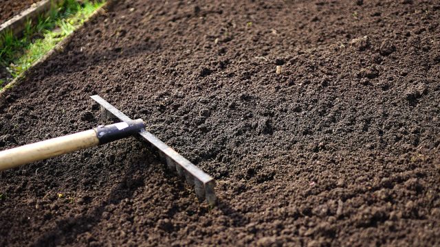 Повторная весенняя перекопка грунта и тщательное разбивание земляных комков на грядке