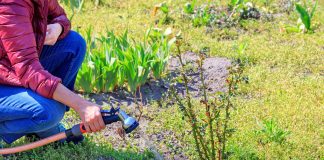 Участок на песчаной почве: что важно знать владельцу