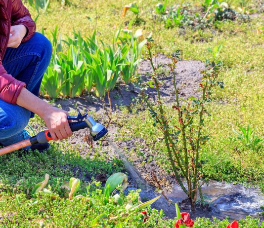 Участок на песчаной почве: что важно знать владельцу
