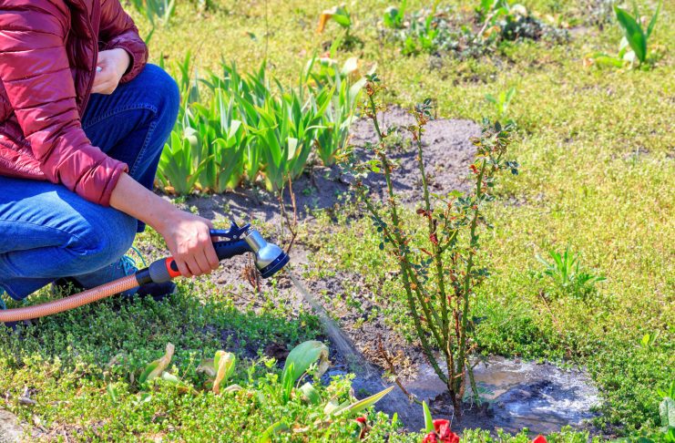 Участок на песчаной почве: что важно знать владельцу