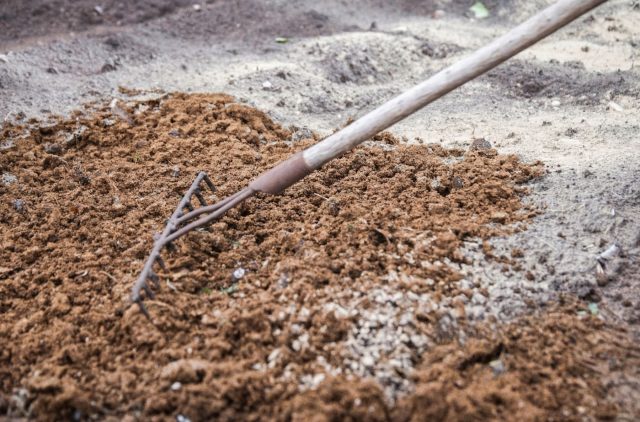 Песчаные почвы чаще всего кислые, что ограничивает выбор растений. Внесение извести, доломита или золы снижает кислотность, улучшает усвоение элементов и делает грунт более универсальным для сада.