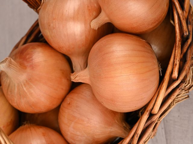 Лук Классика