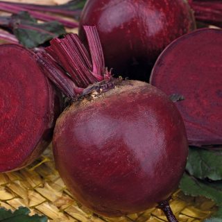 Свёкла столовая Барон