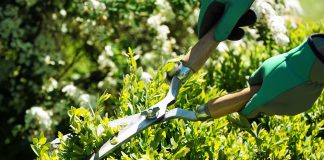 Весенние хлопоты садовода — чек-лист важных дел на апрель