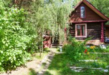 Вторая жизнь «бабушкиного» сада: практическое руководство по благоустройству