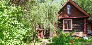 Вторая жизнь «бабушкиного» сада: практическое руководство по благоустройству