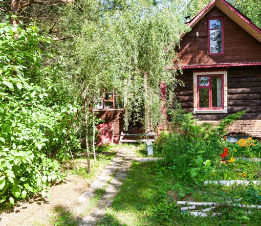 Вторая жизнь «бабушкиного» сада: практическое руководство по благоустройству