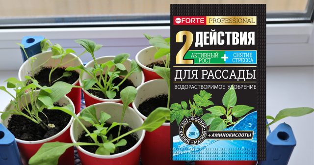 Удобрение водорастворимое для рассады с аминокислотами, 100 г Bona Forte