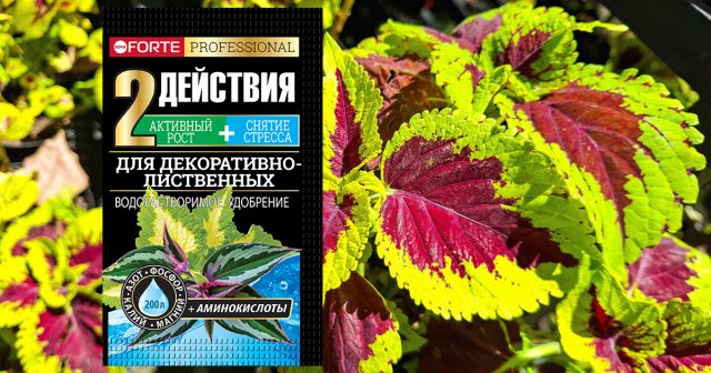 Удобрение водорастворимое для декоративно-лиственных растений с аминокислотами, 100 г Bona Forte