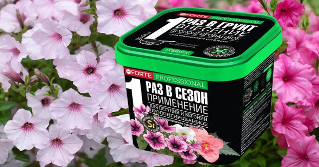 Удобрение гранулированное пролонгированное для петуний и бегоний с биодоступным кремнием, 1л Bona Forte