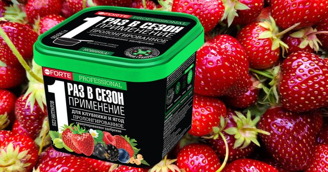 Гранулированное пролонгированное удобрение Для клубники и ягод Bona Forte