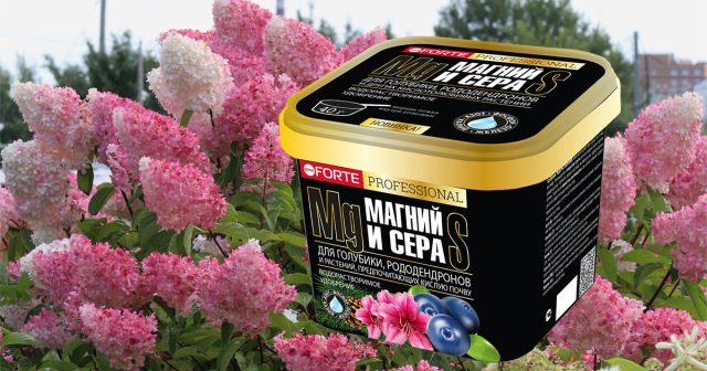 Удобрение водорастворимое для голубики, рододендронов и кислотолюбивых растений с серой и магнием, 1 л Bona Forte