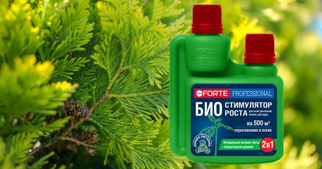 Био-стимулятор роста  Bona Forte