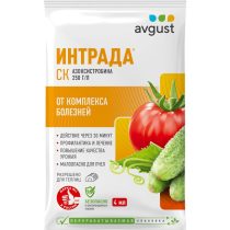 Интрада Интрада