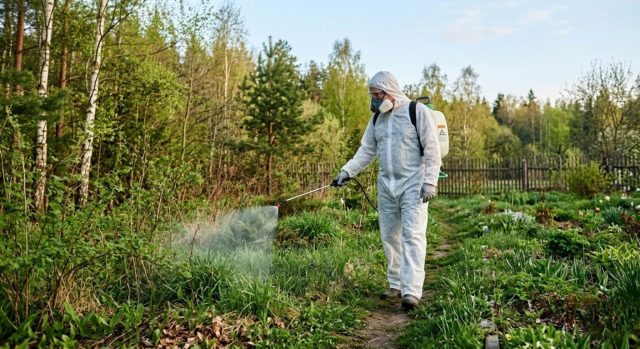 Профессиональная обработка участка отличается не только распылением препарата, но и обследованием территории, поиском очагов клещей и последующим контролем результата после обработки.