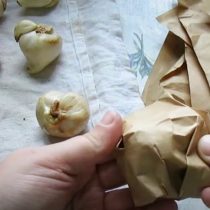 Выкапывая луковицы на хранение тщательно перебираем их и качественно просушиваем