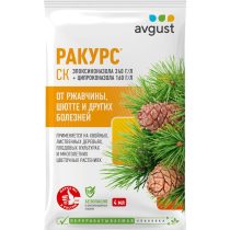 Ракурс