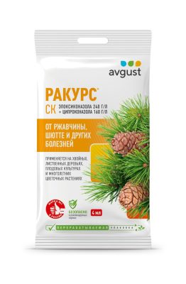 Ракурс Ракурс