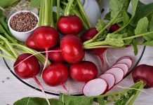 Выращивание редиса — развеиваем мифы