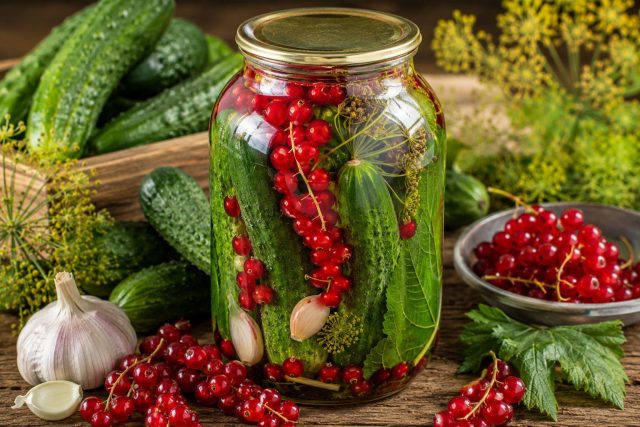 Огурцы с красной смородиной