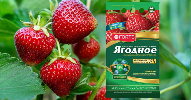 Пролонгированное удобрение Ягодное Bona Forte