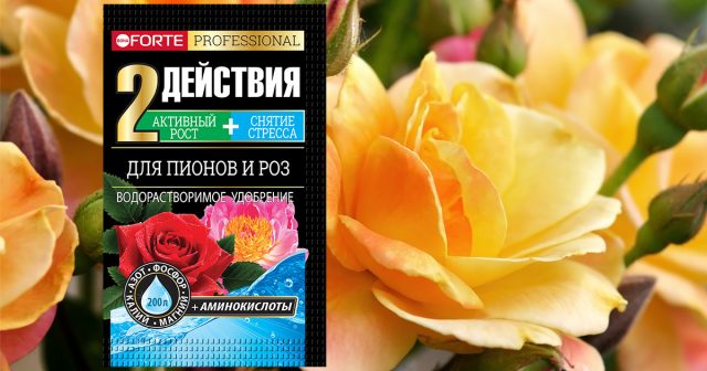 Удобрение водорастворимое для пионов и роз с аминокислотами, 100 г Bona Forte Удобрение водорастворимое для пионов и роз с аминокислотами, 100 г Bona Forte