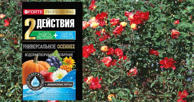 Удобрение водорастворимое универсальное осеннее с аминокислотами, 100 г Bona Forte Удобрение водорастворимое универсальное осеннее с аминокислотами, 100 г Bona Forte
