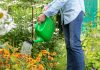 Лунный календарь садовода и огородника на июль 2026 года