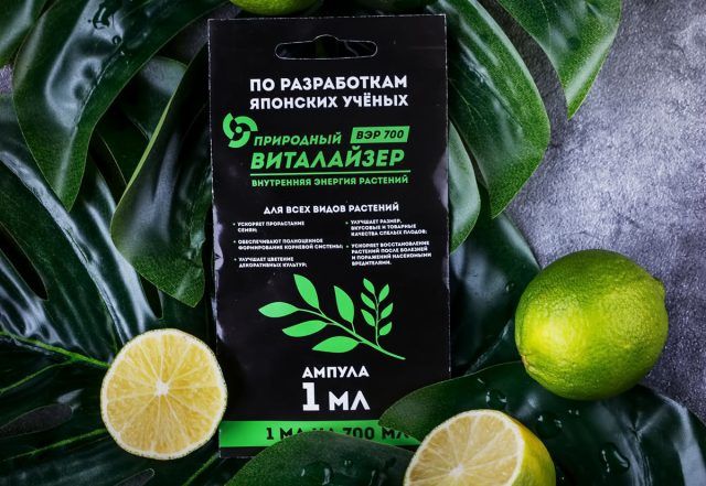 Виталайзер ВЭР-700 создан на основе экстракта хвои и молодых побегов пихты. Препарат относят к средствам поддержки растений в периоды стресса и восстановления после неблагоприятных условий выращивания.