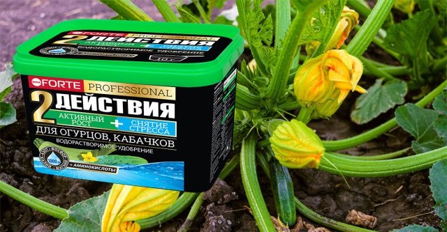 Удобрение водорастворимое для огурцов и кабачков с аминокислотами, 500 г Bona Forte Удобрение водорастворимое для огурцов и кабачков с аминокислотами, 500 г Bona Forte