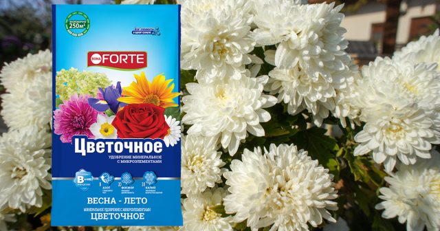 Удобрение Цветочное Bona Forte Удобрение Цветочное Bona Forte