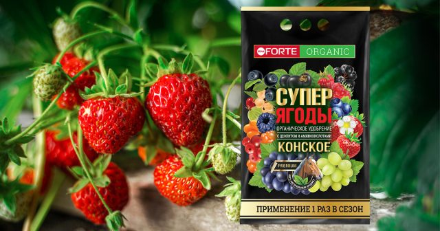 Органическое удобрение Конское премиум Bona Forte с цеолитом (10 г на растение) Органическое удобрение Конское премиум Bona Forte с цеолитом (10 г на растение)
