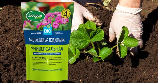 Биоактивная подкормка Добрая сила Биоактивная подкормка Добрая сила