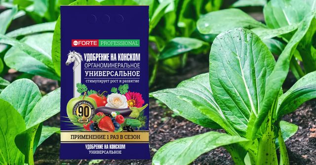 Удобрение пролонгированным на конском навозе Универсальное, 2 кг Bona Forte Удобрение пролонгированным на конском навозе Универсальное, 2 кг Bona Forte