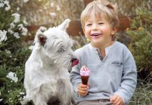Чем нельзя кормить собак и кошек летом: самые вредные «угощения» Чем нельзя кормить собак и кошек летом: самые вредные «угощения»