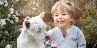 Чем нельзя кормить собак и кошек летом: самые вредные «угощения» - Лучшее Чем нельзя кормить собак и кошек летом: самые вредные «угощения»