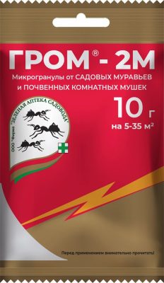 «Гром-2М»