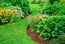 Как сделать цветник визуально дороже: схемы, которые сработают