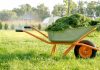 Компост из скошенной травы: как получить качественное удобрение - Комнатные растения Компост из скошенной травы: как получить качественное удобрение