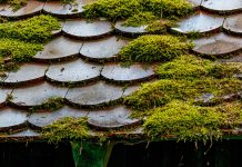 Мох на крыше: эффективные способы борьбы с зеленой угрозой Мох на крыше: эффективные способы борьбы с зеленой угрозой
